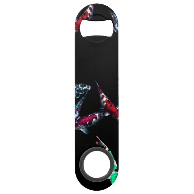 Nishikigoi Koi Coloration Fishes (Front)