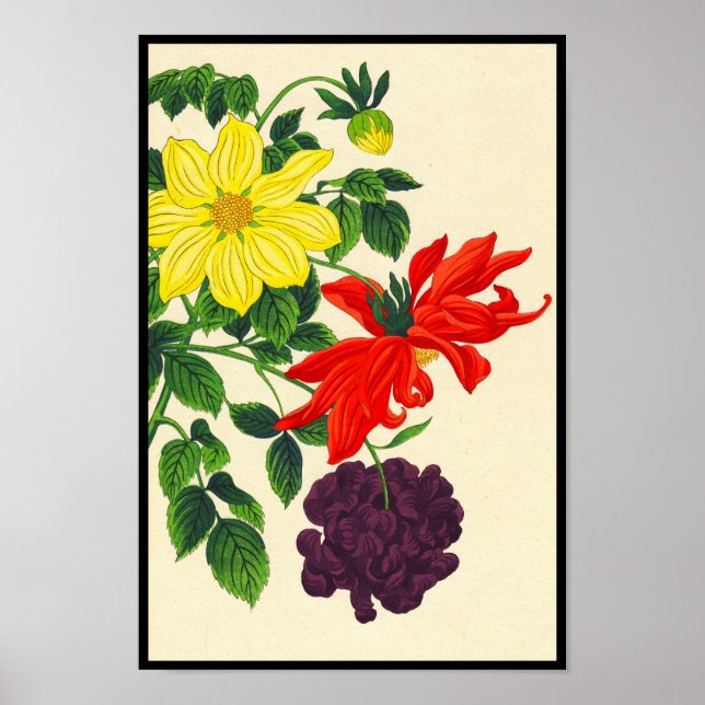 Nishimura Hodo Dahlias oriental japanese flowers Poster (Front)