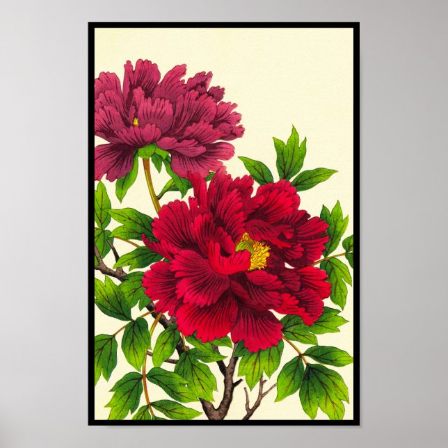 Nishimura Hodo Peony japanese flowers fine art Poster (Front)