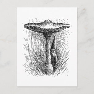 Nisse Elf Behind a Toadstool Postcard