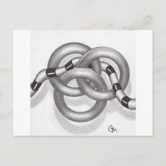 No. 31 Bound Rings Postcard