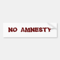 NO AMNESTY - NO JOBS - NO INCENTIVES