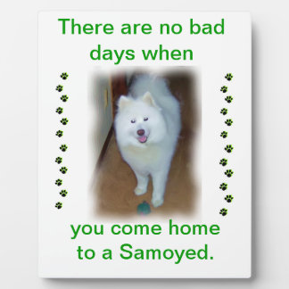 No Bad days - Samoyed plaque