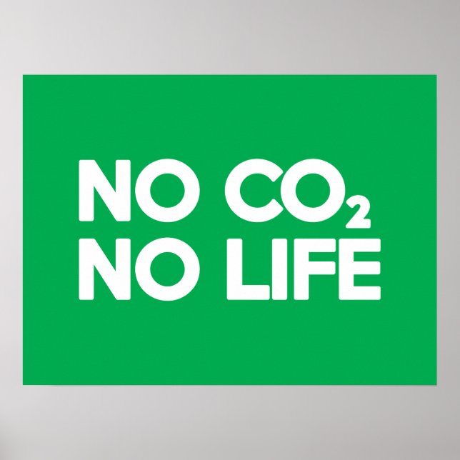 NO CO2 NO LIFE POSTER (Front)