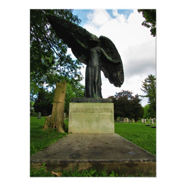 "NO DIGGING" PHOTO PRINT (Front)