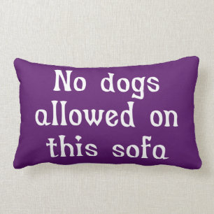 No Dogs Allowed on this Sofa Lumbar Cushion
