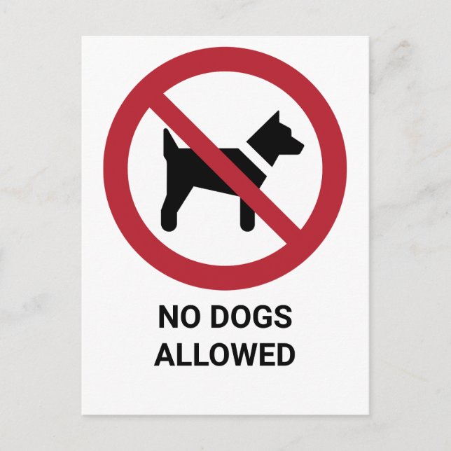 No Dogs Allowed, Prohibition Sign Postcard (Front)