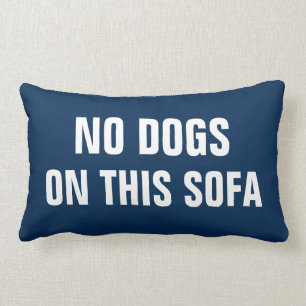 No dogs on this sofa lumbar cushion