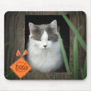 No Dogs Zone  Kitty Mouse Pad