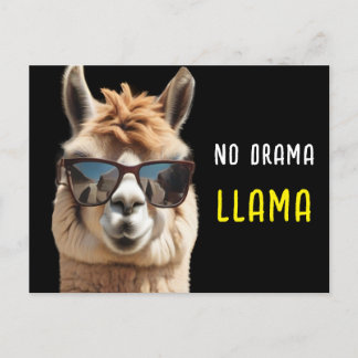 No Drama Llama Cool Alpaca with Sunglasses Funny Postcard