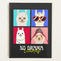 No drama Llamas