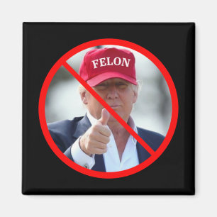 No Felons In Office Magnet