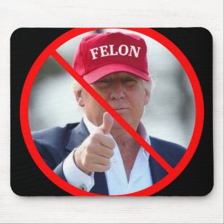 No Felons In Office  Mouse Pad