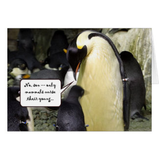 No Free Lunch Penguin