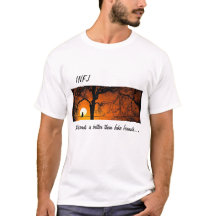 'No Friends' - INFJ T-Shirt