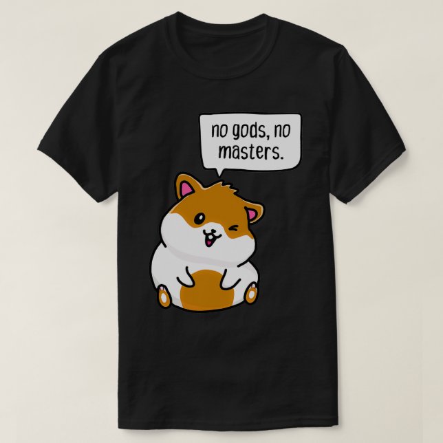no gods, no masters  T-Shirt (Design Front)