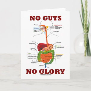 No Guts No Glory (Digestive System Anatomy Humour) Card