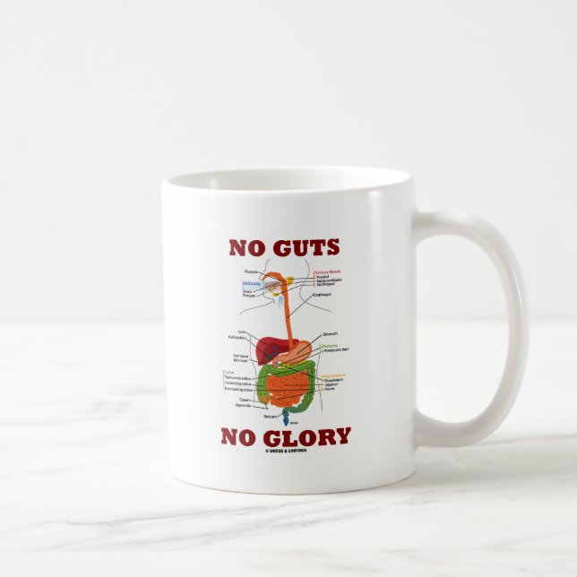 No Guts No Glory (Digestive System Anatomy Humour) Coffee Mug (Right)