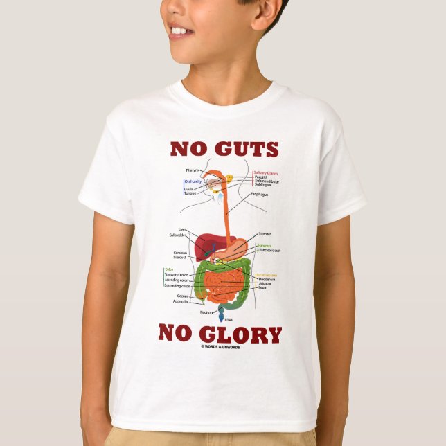 No Guts No Glory (Digestive System Anatomy Humour) T-Shirt (Front)