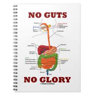 No Guts No Glory (Digestive System Humour) Notebook