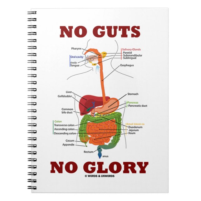 No Guts No Glory (Digestive System Humour) Notebook (Front)