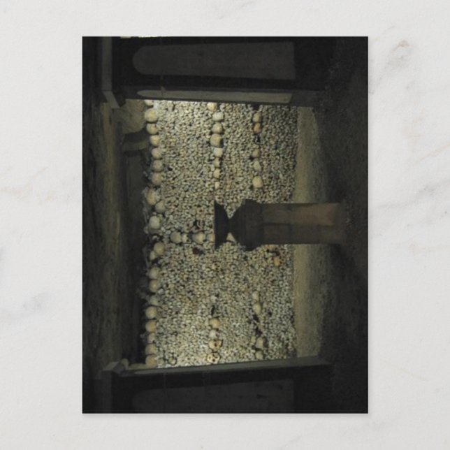 No higher resolution available. Catacombs-700px.jp Postcard (Front)