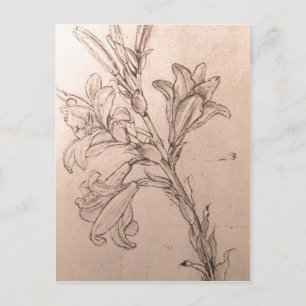 No higher resolution available. Leonardo_lilies.JP Postcard