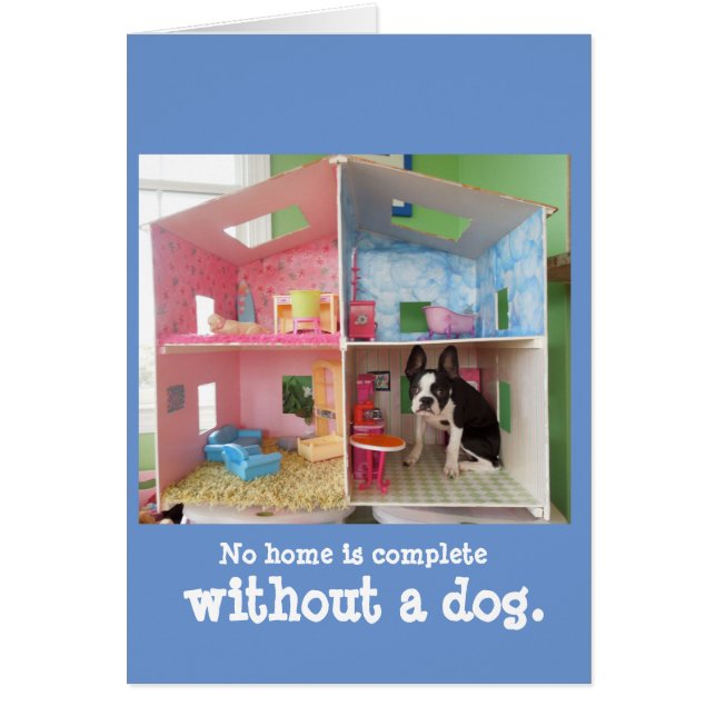 No home is complete without a dog. (Front)