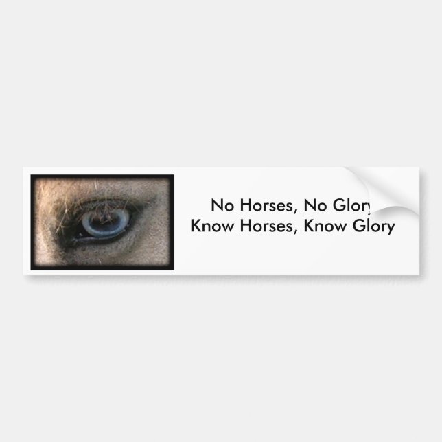 No Horses, No Glory - Bumper Sticker (Front)
