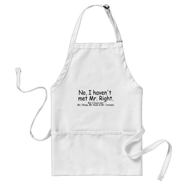 No I Havent Met Mr Right But I Have Met... Standard Apron (Front)