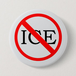 "NO ICE" Button