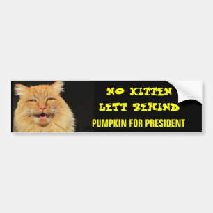 No Kitten Left Behind Pumpkin For President Bumper Sticker