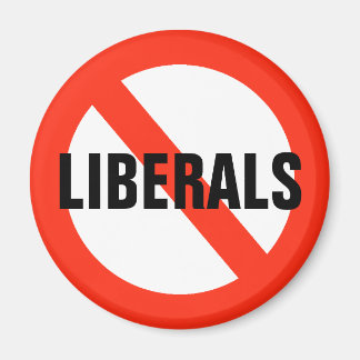NO LIBERALS Magnet