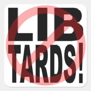 NO LIBTARDS!  SQUARE STICKER