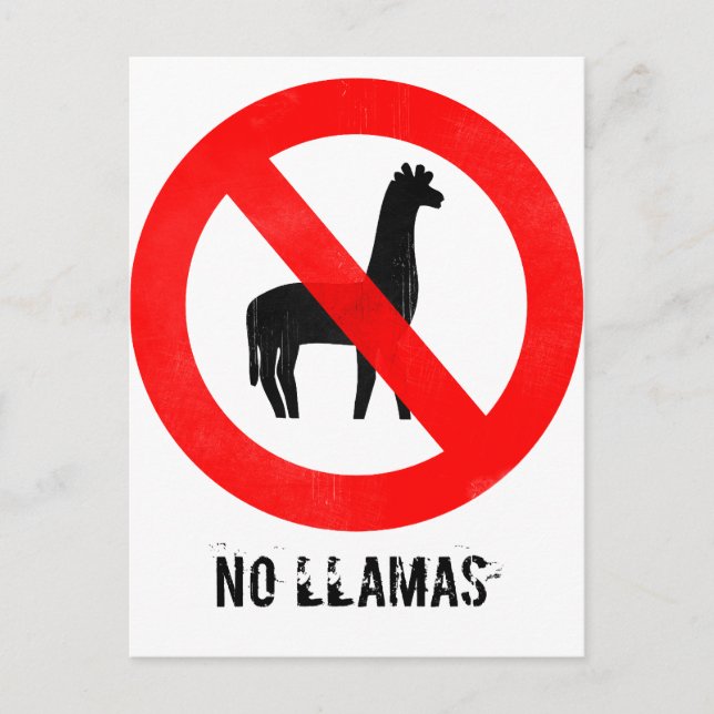 No Llamas Postcard (Front)