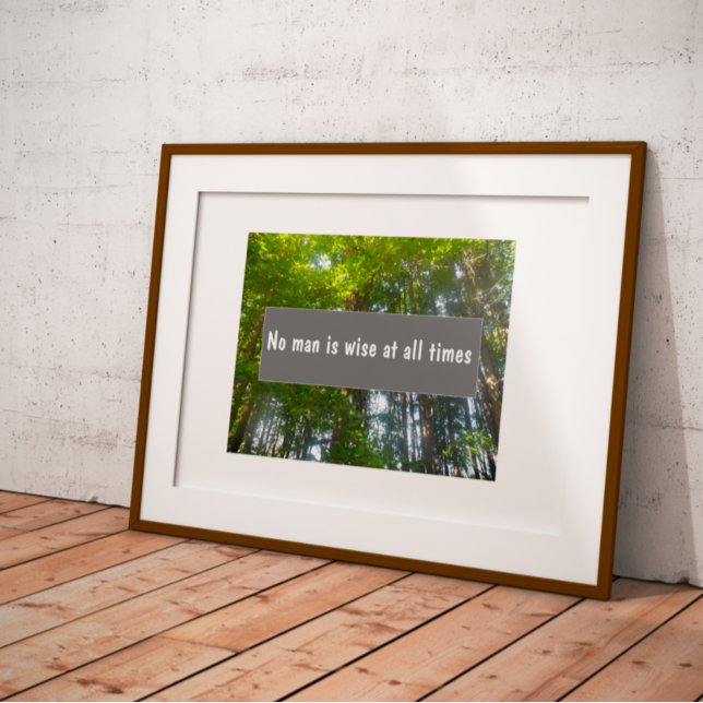 No man is wise at all times proverb  poster (Creator Uploaded)