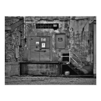 "No Milling Around" Photo Print