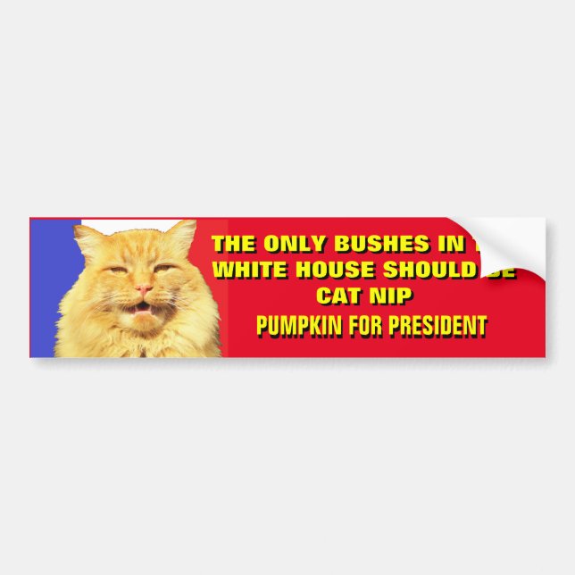  No More Bush Pumpkin for President 2020 Bumper Sticker (Front)