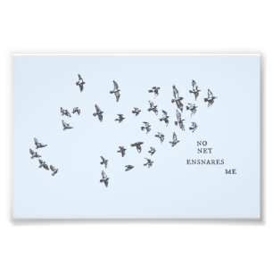 "No net ensnares me" + birds (black on pale blue) Photo Print
