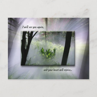 No One Will Take Your Joy Postcard