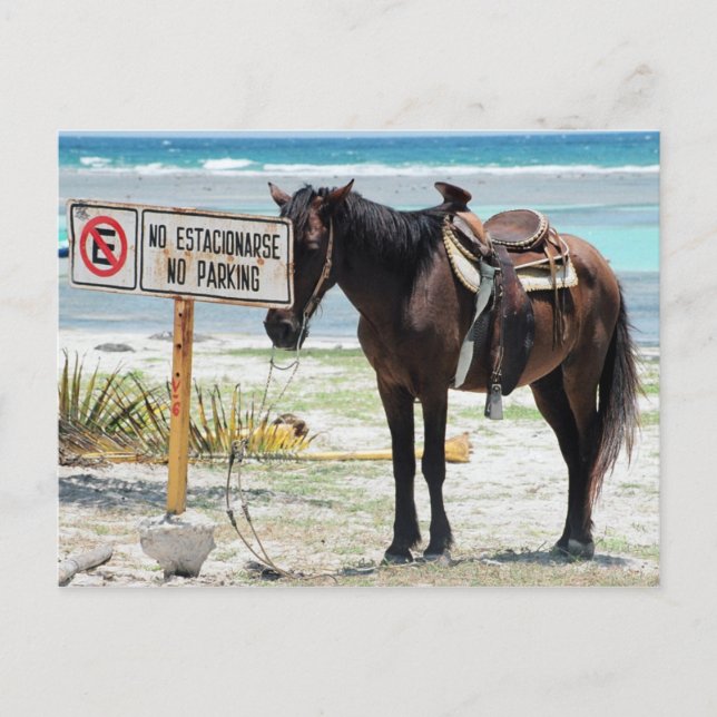 No parking postcard (Front)