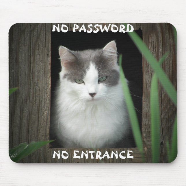 No Password No Entrance Mouse Pad (Front)