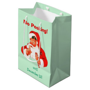 No Peeking Santa Christmas Medium Gift Bag