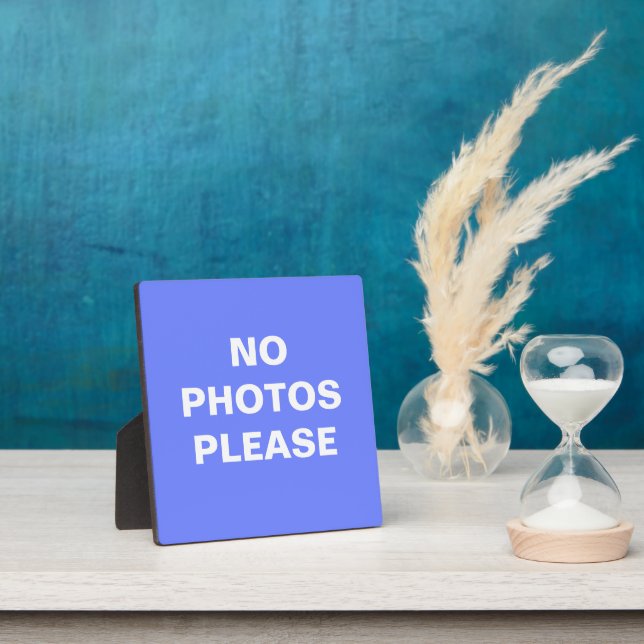 No Photos Please Plaque (Insitu)