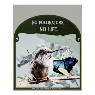 No Pollinators, No Life Poster