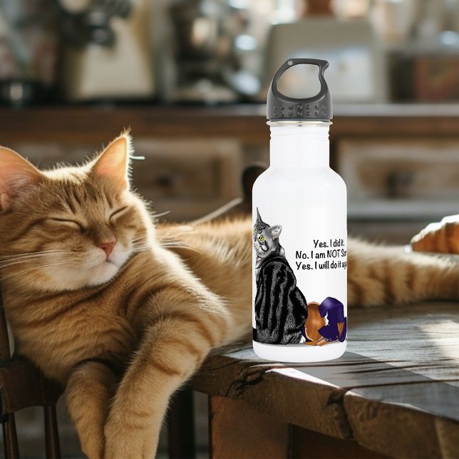 No Remorse Tabby Cat Funny 532 Ml Water Bottle (Creator Uploaded)