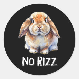 No Rizz Mini Holland Lop Bunny Rabbit Lover  Classic Round Sticker