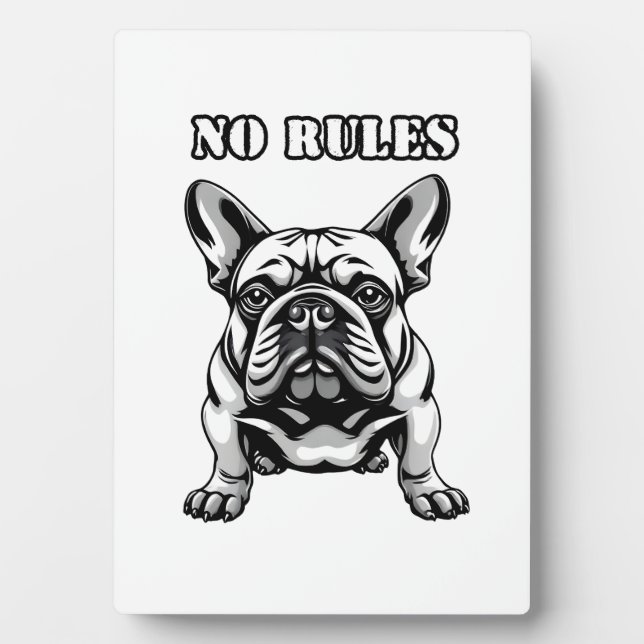 No Rules Plaque (Front)