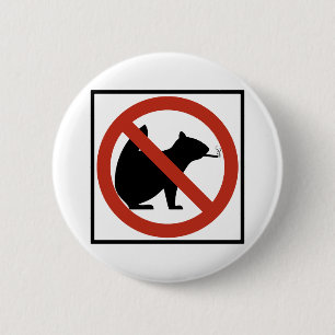 No Smoking Squirrels Allowed Highway Sign 6 Cm Round Badge