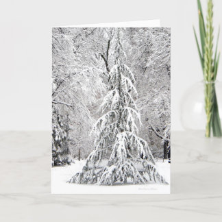 *No Snowflake Falls In the Wrong Place. Holiday Card